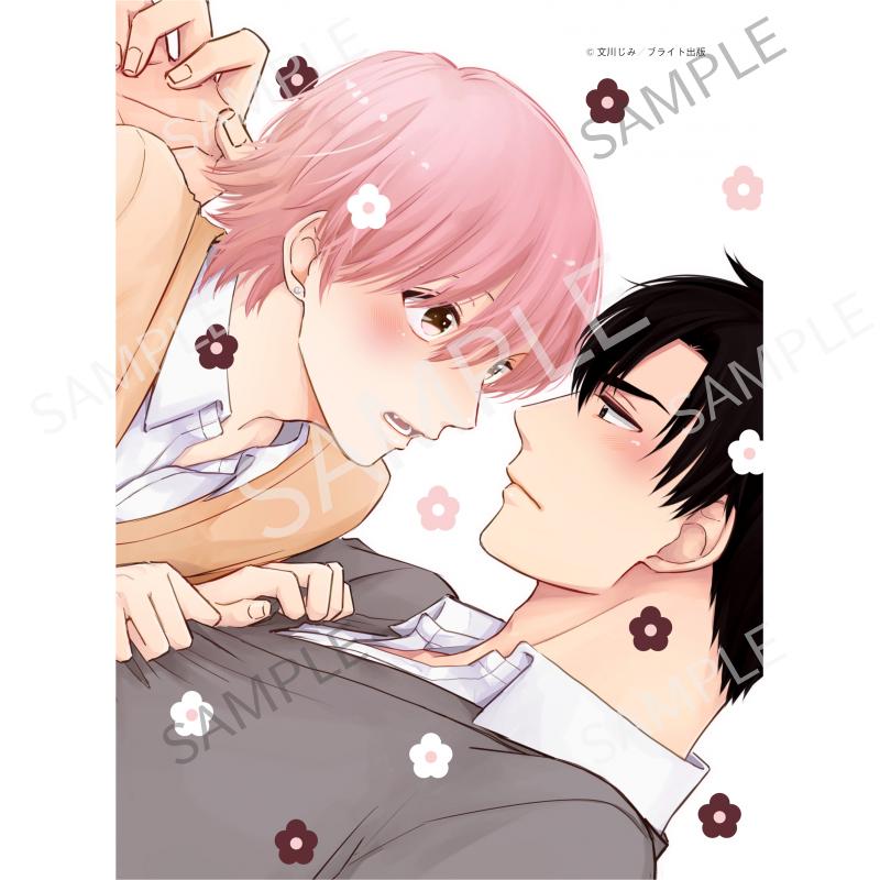 君ってやつはこんなにも A