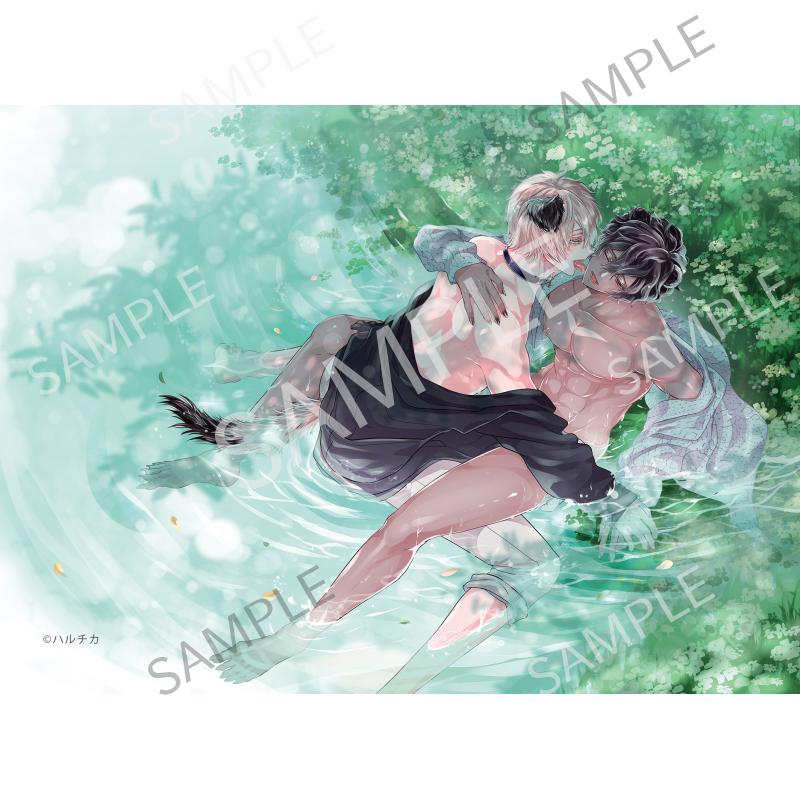 森のくまさん、冬眠中。 A