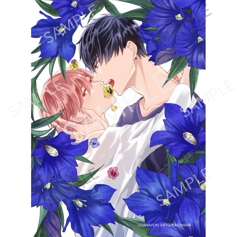 ロマンチック・ラメント A