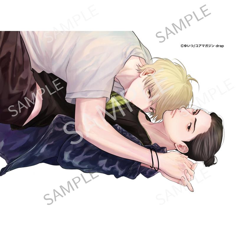 フェロウメロウ A