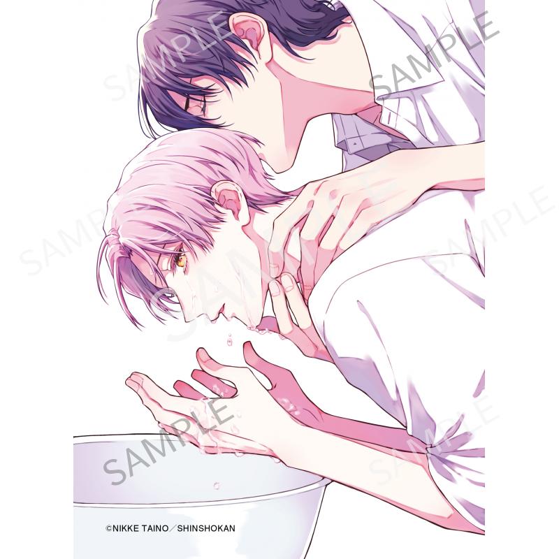 メルティホワイトアウト C