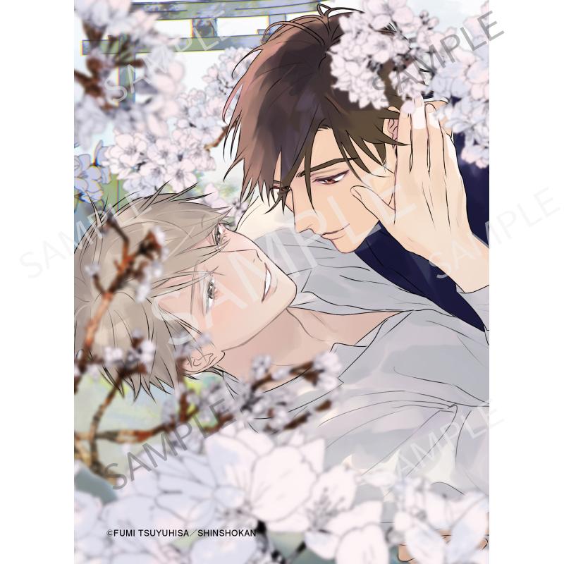 こまどりは、夜の帳 B