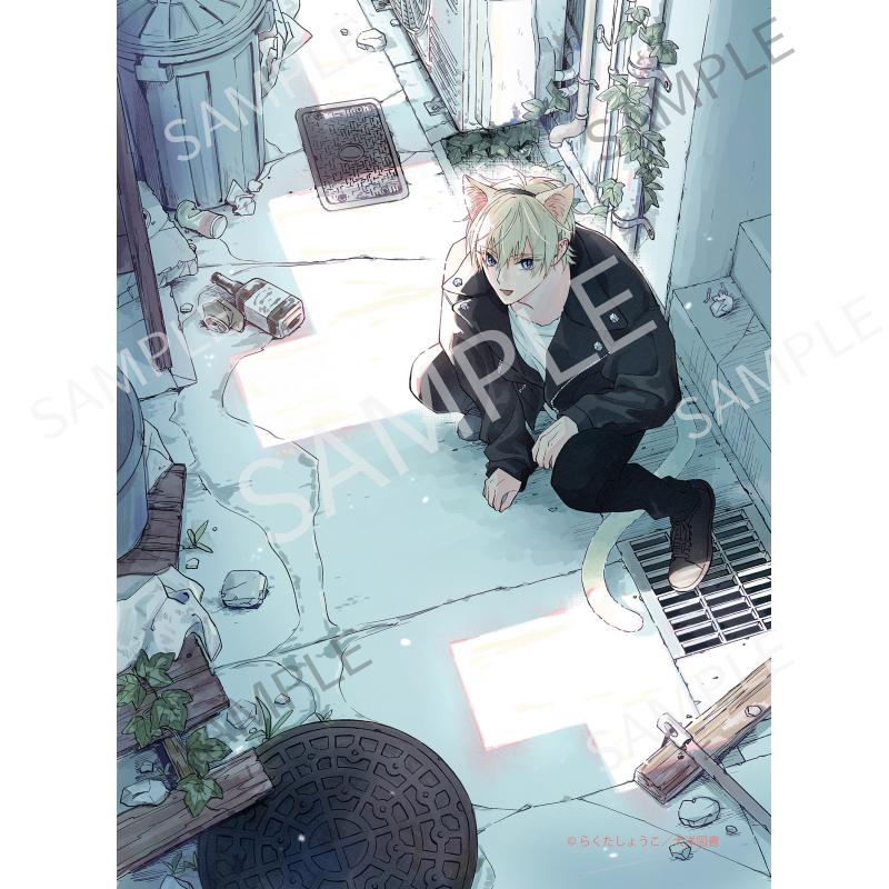 レンタルタマちゃん C