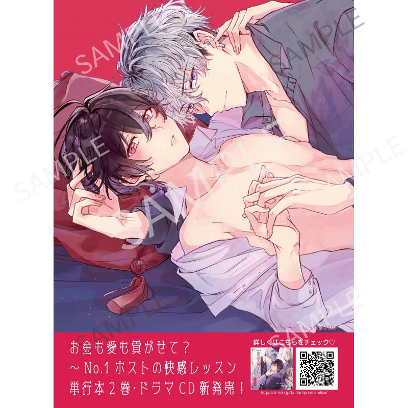 【期間限定】お金も愛も貢がせて？ A -2巻&ドラマCD発売記念-