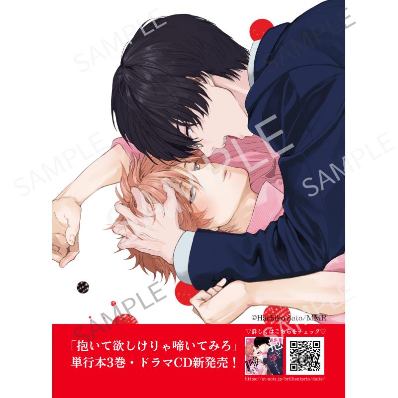【期間限定】抱いて欲しけりゃ啼いてみろB -3巻&ドラマCD発売記念-