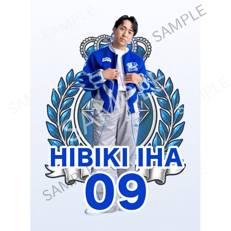 aRB HIBIKI IHA_3