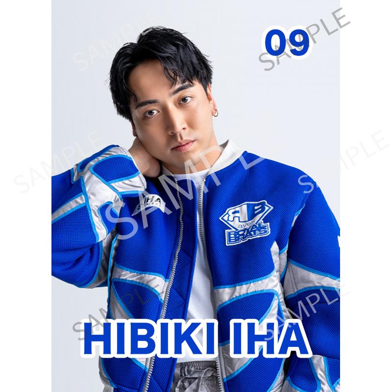 aRB HIBIKI IHA_4