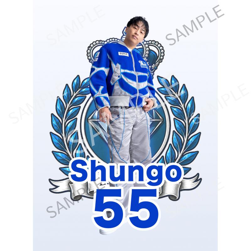 aRB Shungo_3