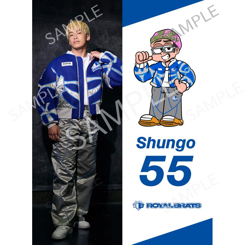 aRB Shungo A