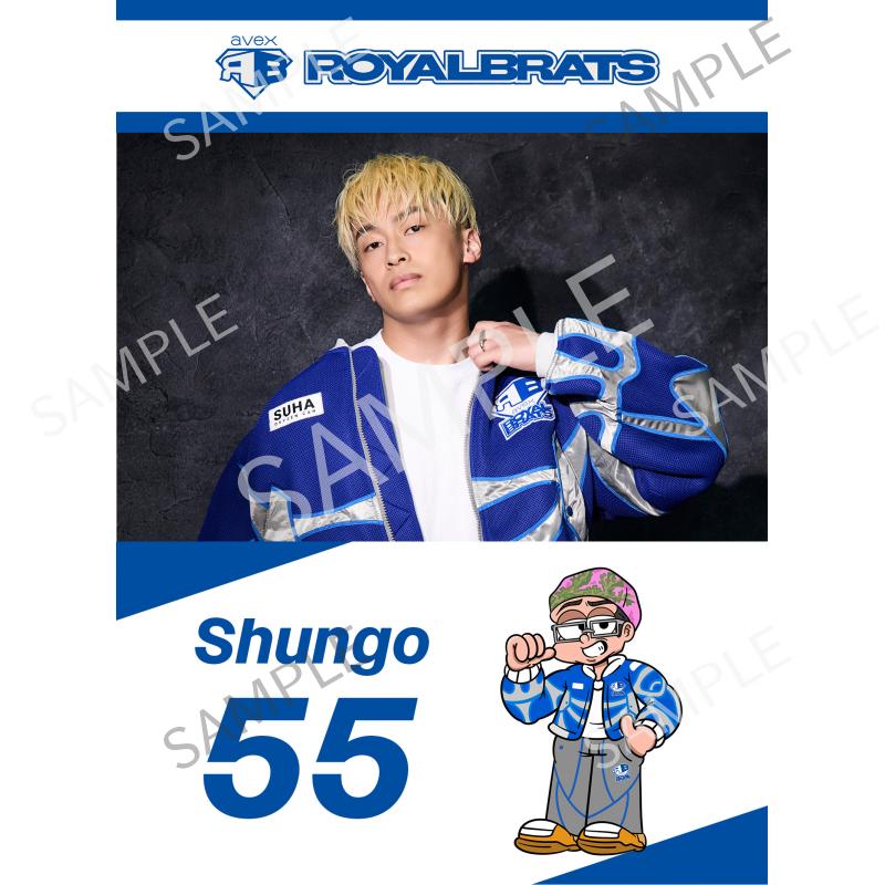 aRB Shungo B