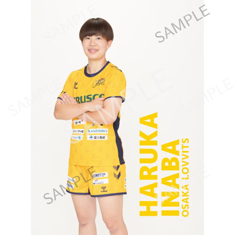 稲葉晴香
