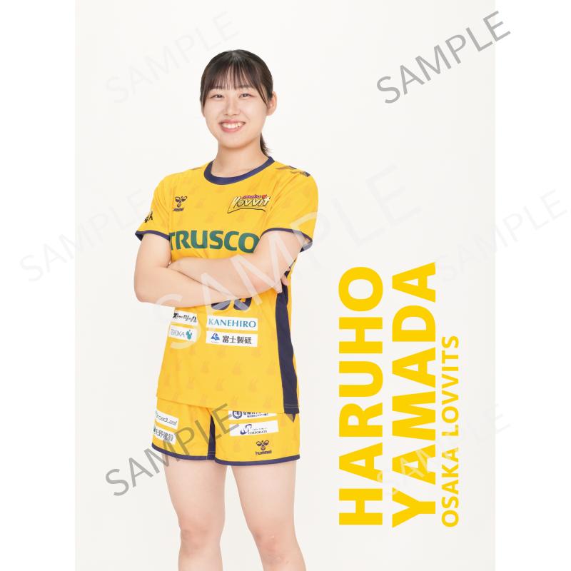 山田遥帆