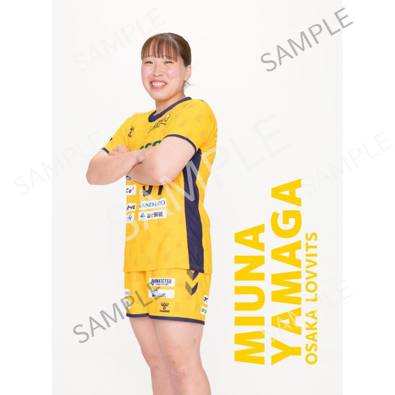 山賀美海